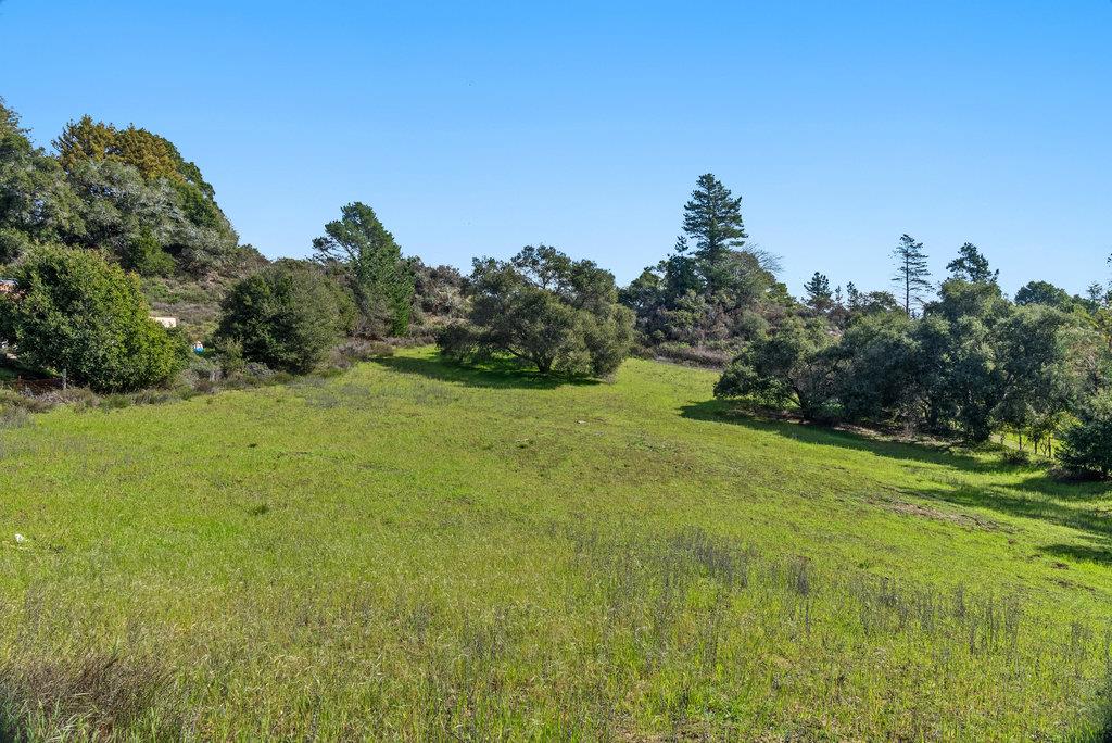 330 Enos Lane Corralitos, CA 95076 - Photo 51 of 73 a view of a field of grass and trees