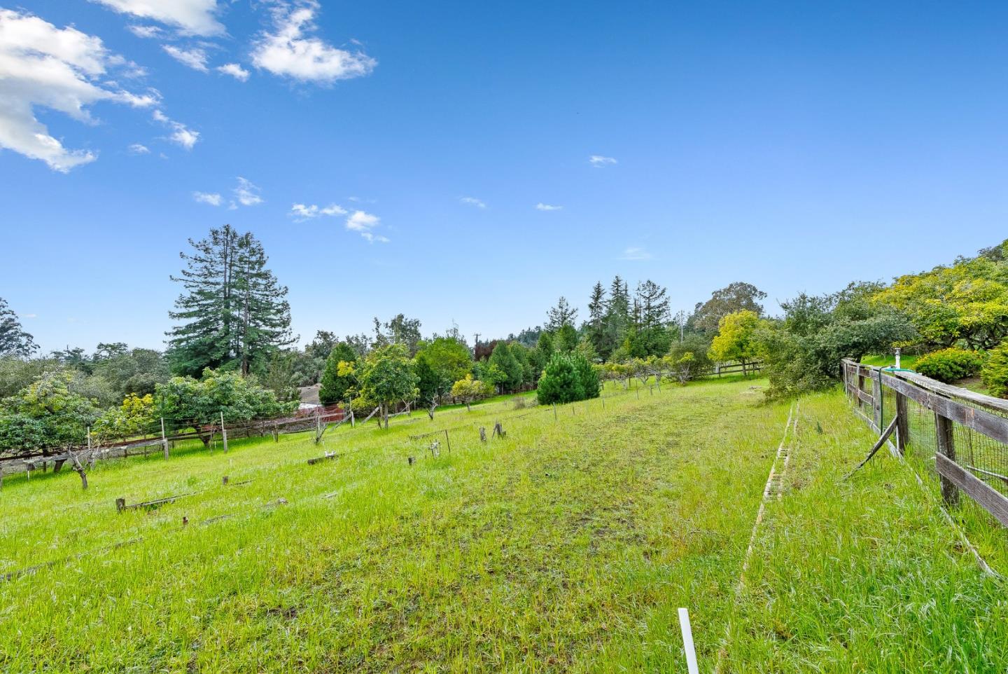 330 Enos Lane Corralitos, CA 95076 - Photo 52 of 73 a view of an outdoor space and yard