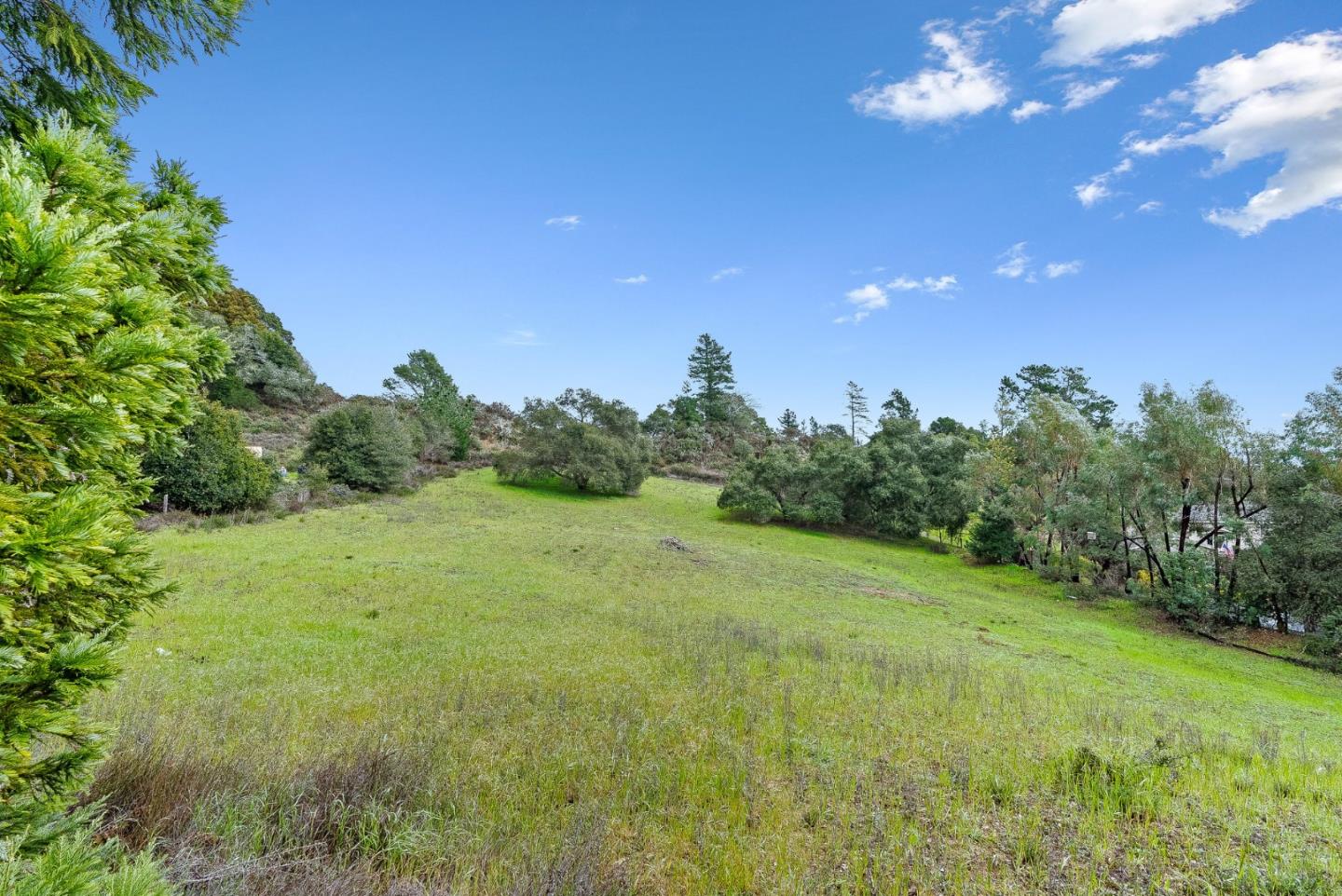 330 Enos Lane Corralitos, CA 95076 - Photo 57 of 73 a view of a big yard with lots of green space and mountain view