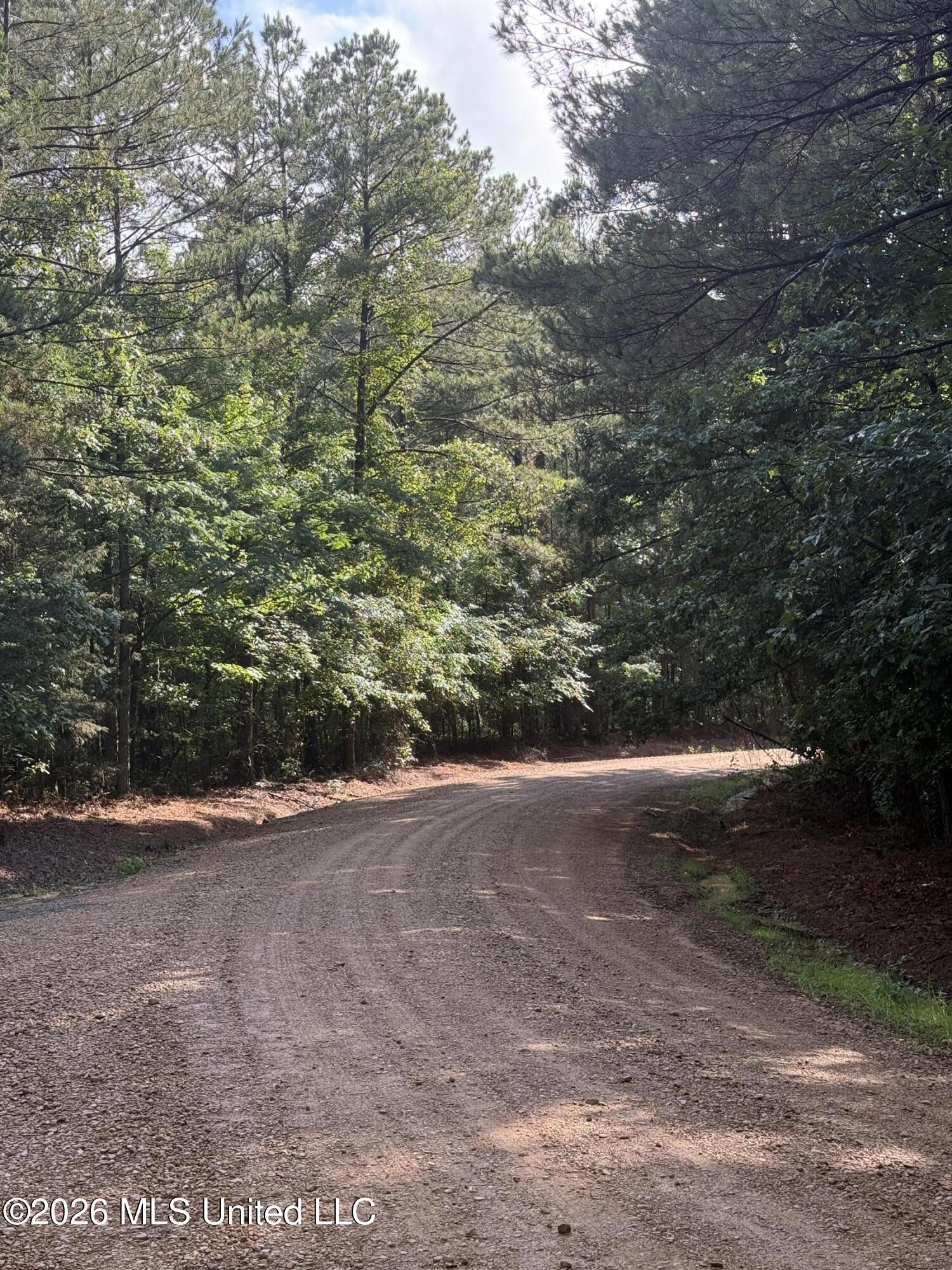 2136 Co Road McCool, MS 39108 - Photo 2 of 29 2