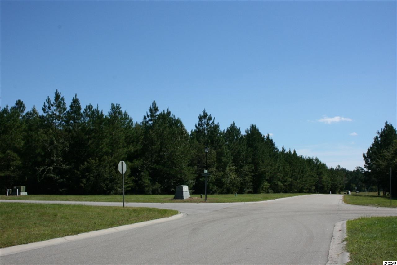 117 Family Farm Road Conway, SC 29526 - Photo 14 of 25 Gallery Image 14