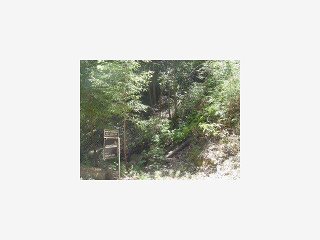 0 Whalebone Gulch Road Boulder Creek, CA 95006 - Photo 1 of 4 a picture of a bench in a balcony