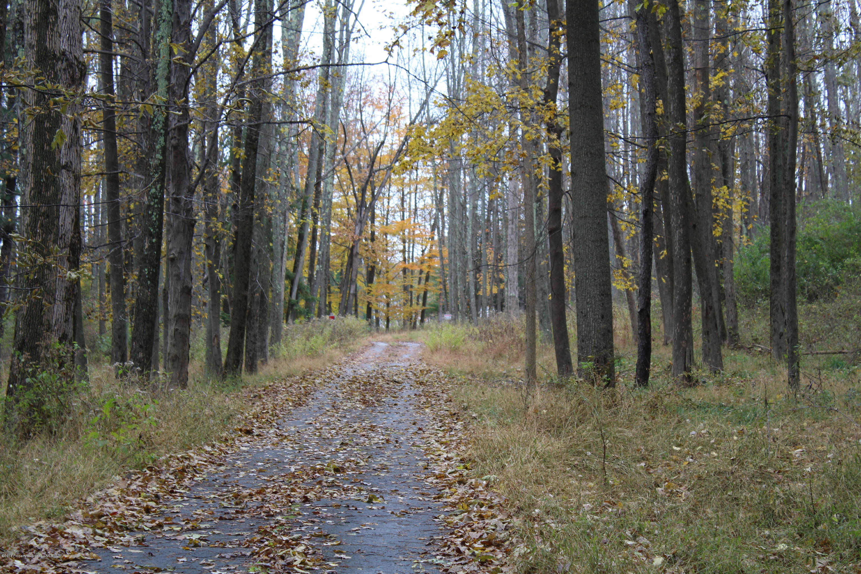 Linair Farms Road Dalton, PA 18414 - Photo 16 of 34 a view of outdoor space and trees