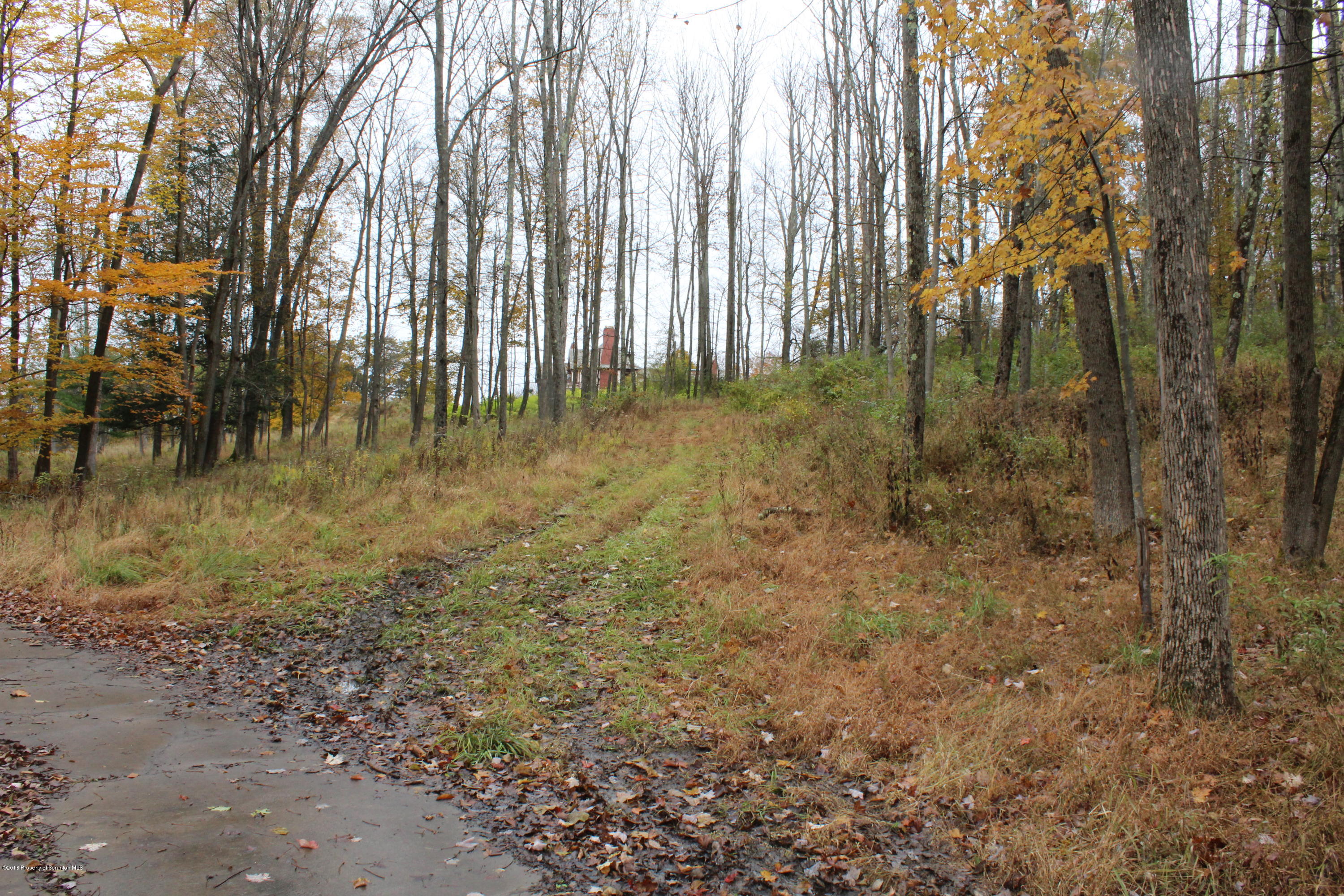 Linair Farms Road Dalton, PA 18414 - Photo 17 of 34 a view of outdoor space with trees