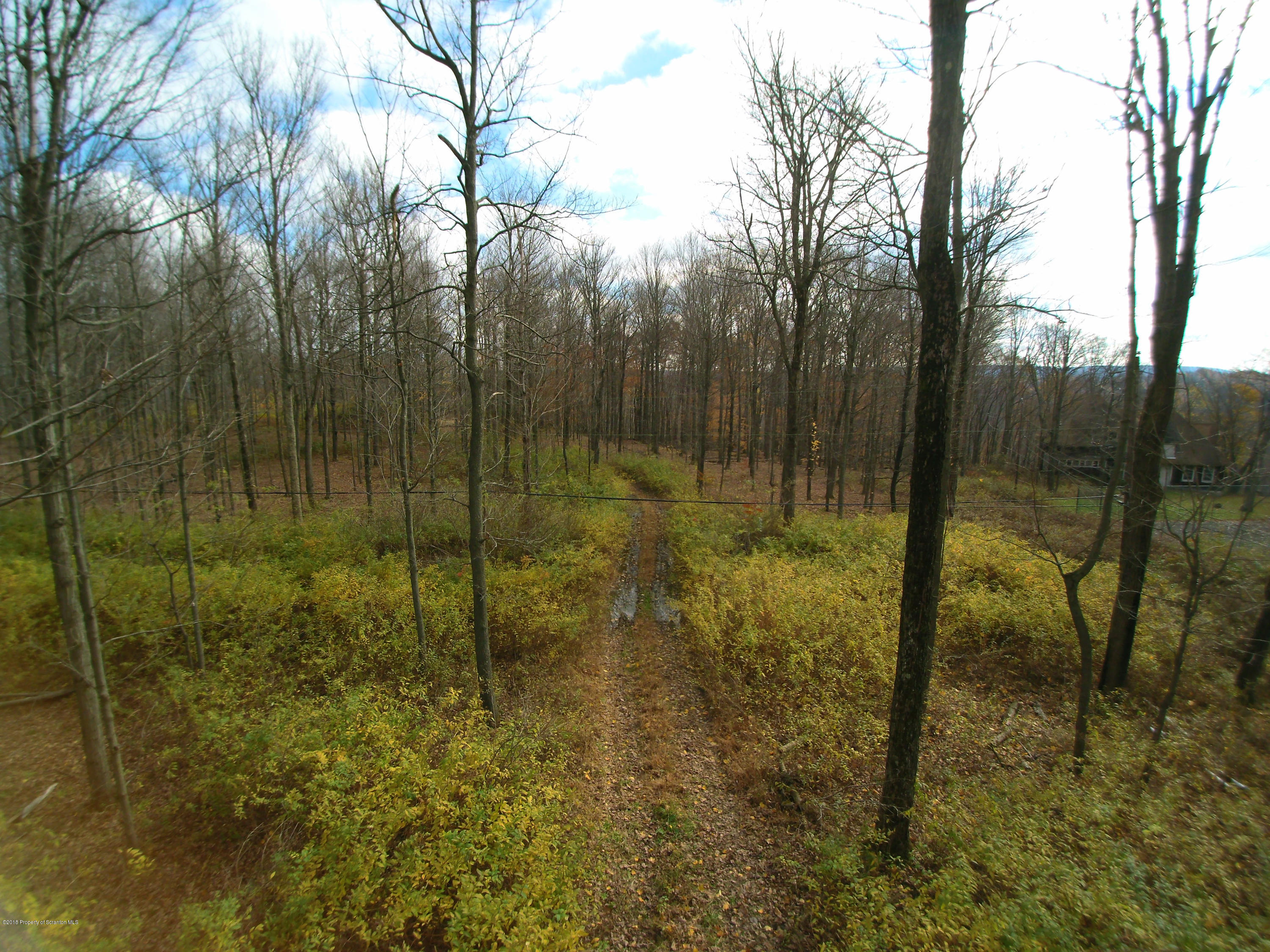 Linair Farms Road Dalton, PA 18414 - Photo 21 of 34 a view of outdoor space and garden