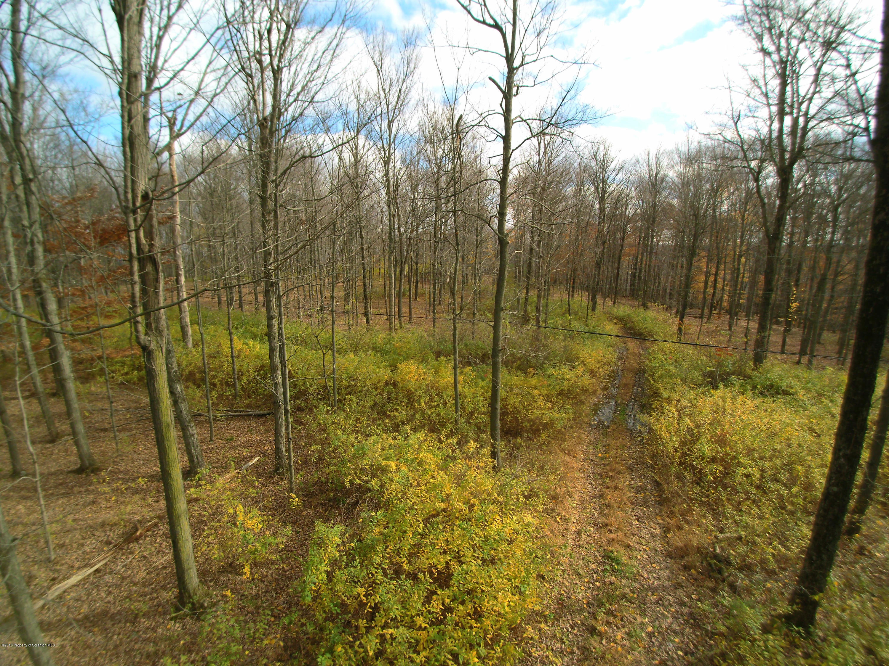 Linair Farms Road Dalton, PA 18414 - Photo 23 of 34 a bathroom with a shower