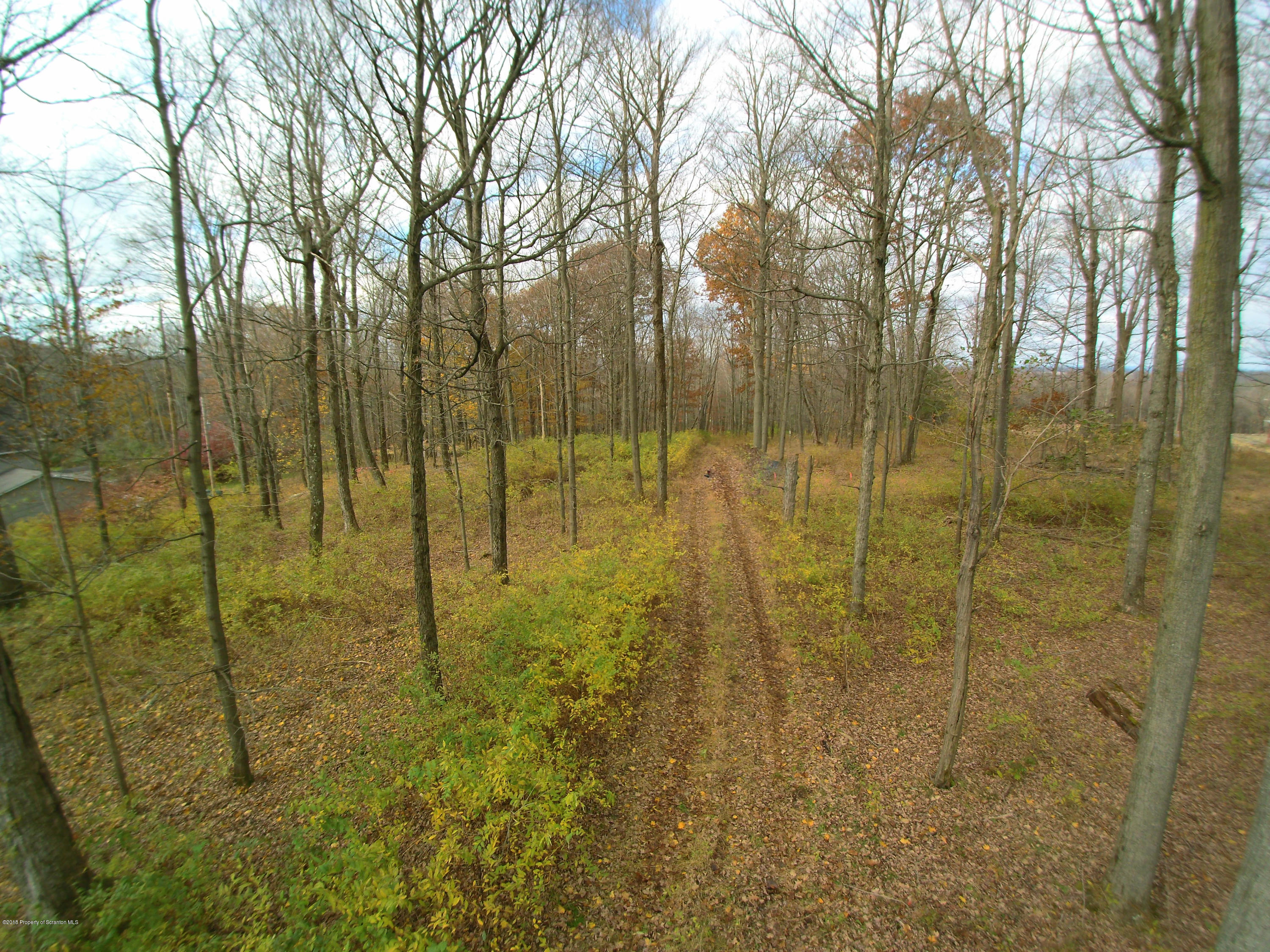 Linair Farms Road Dalton, PA 18414 - Photo 24 of 34 a bathroom with a shower