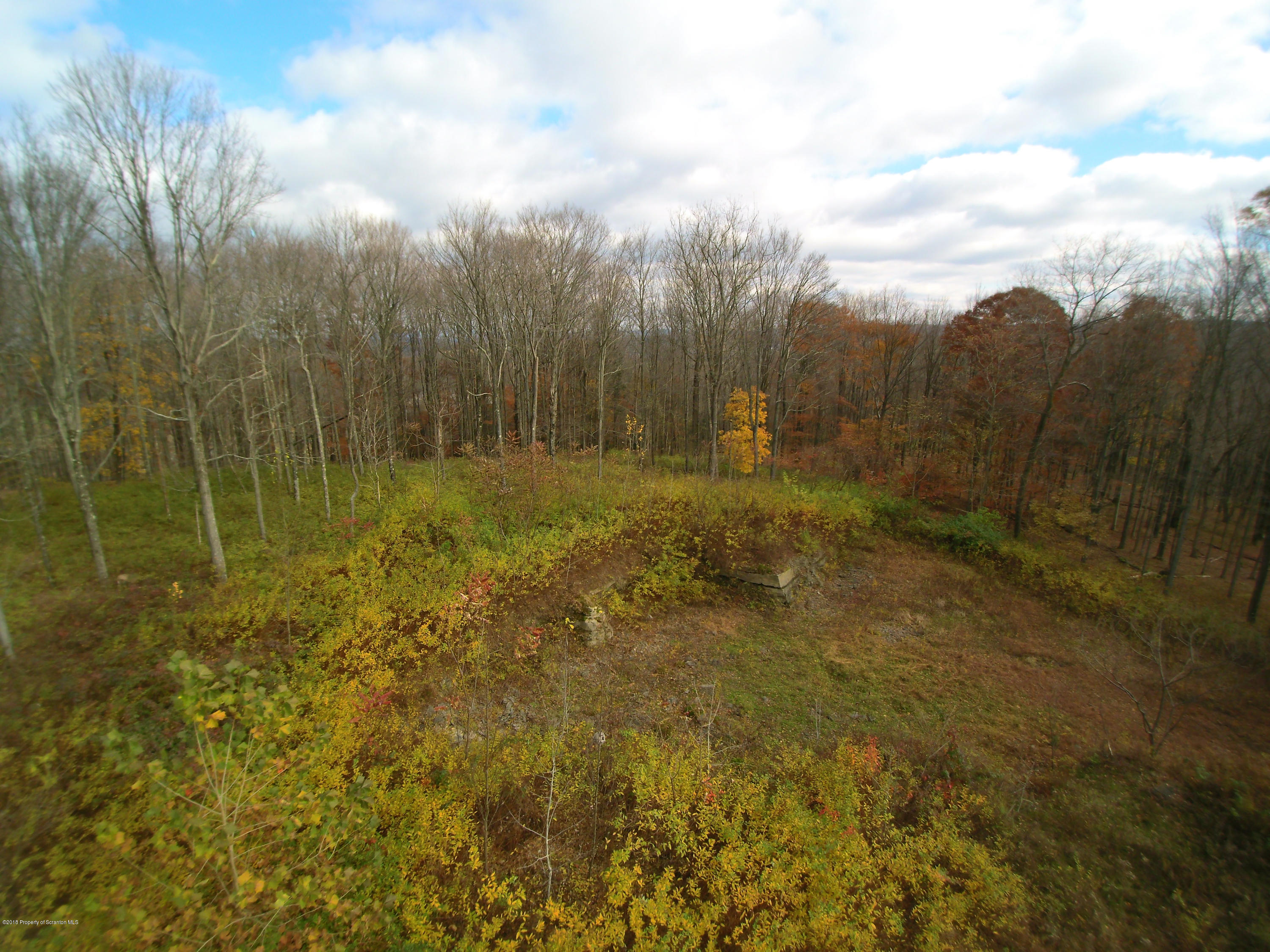 Linair Farms Road Dalton, PA 18414 - Photo 25 of 34 a view of a field with an trees