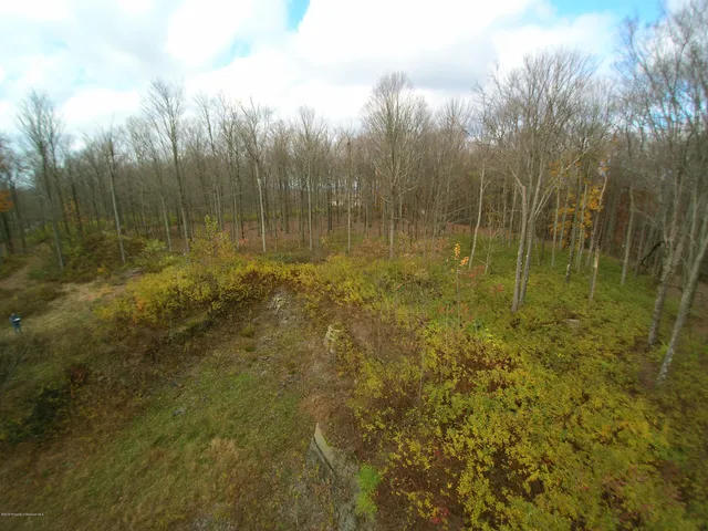 a view of yard with large trees