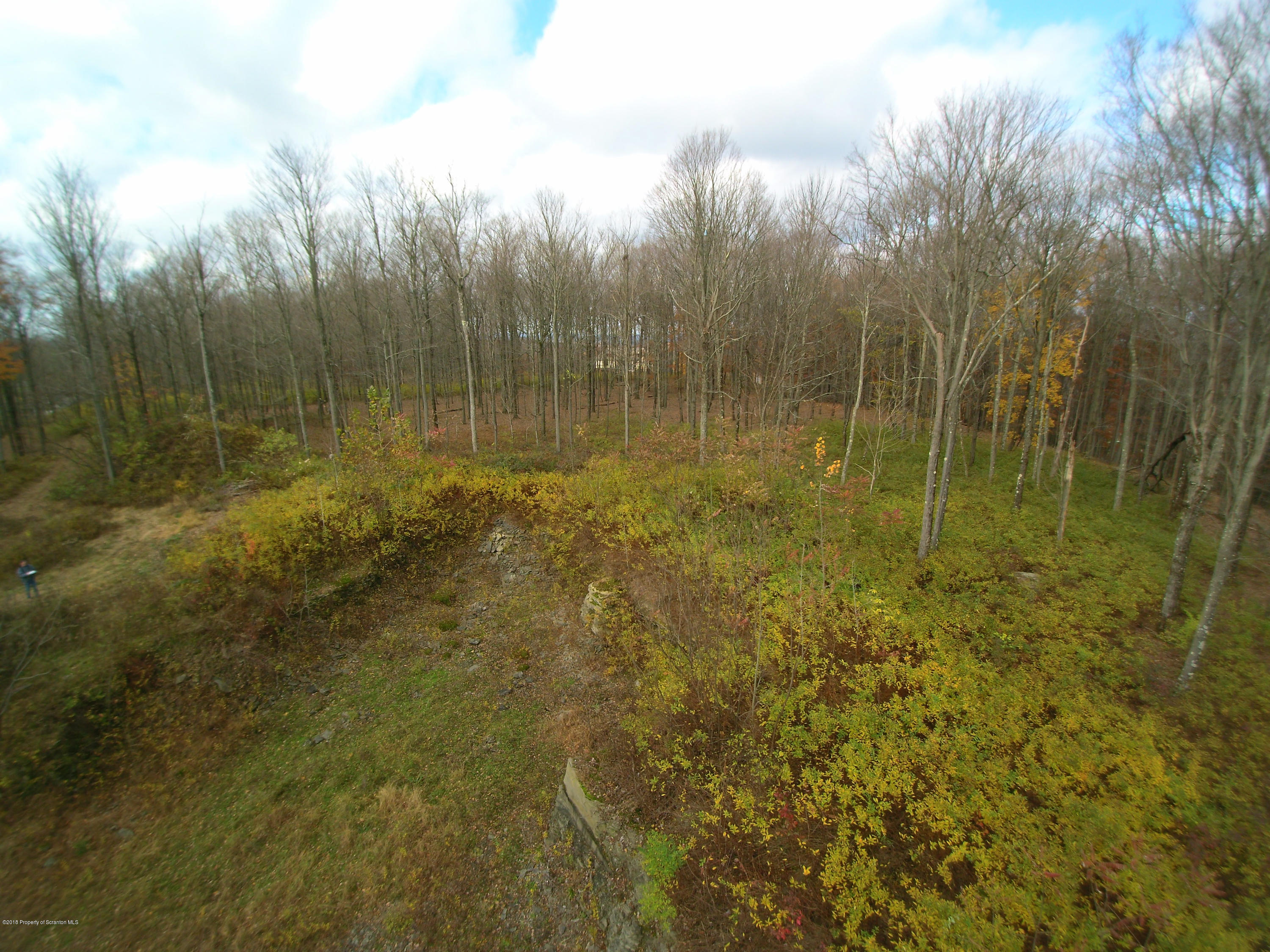 Linair Farms Road Dalton, PA 18414 - Photo 27 of 34 a view of a yard with trees in the background