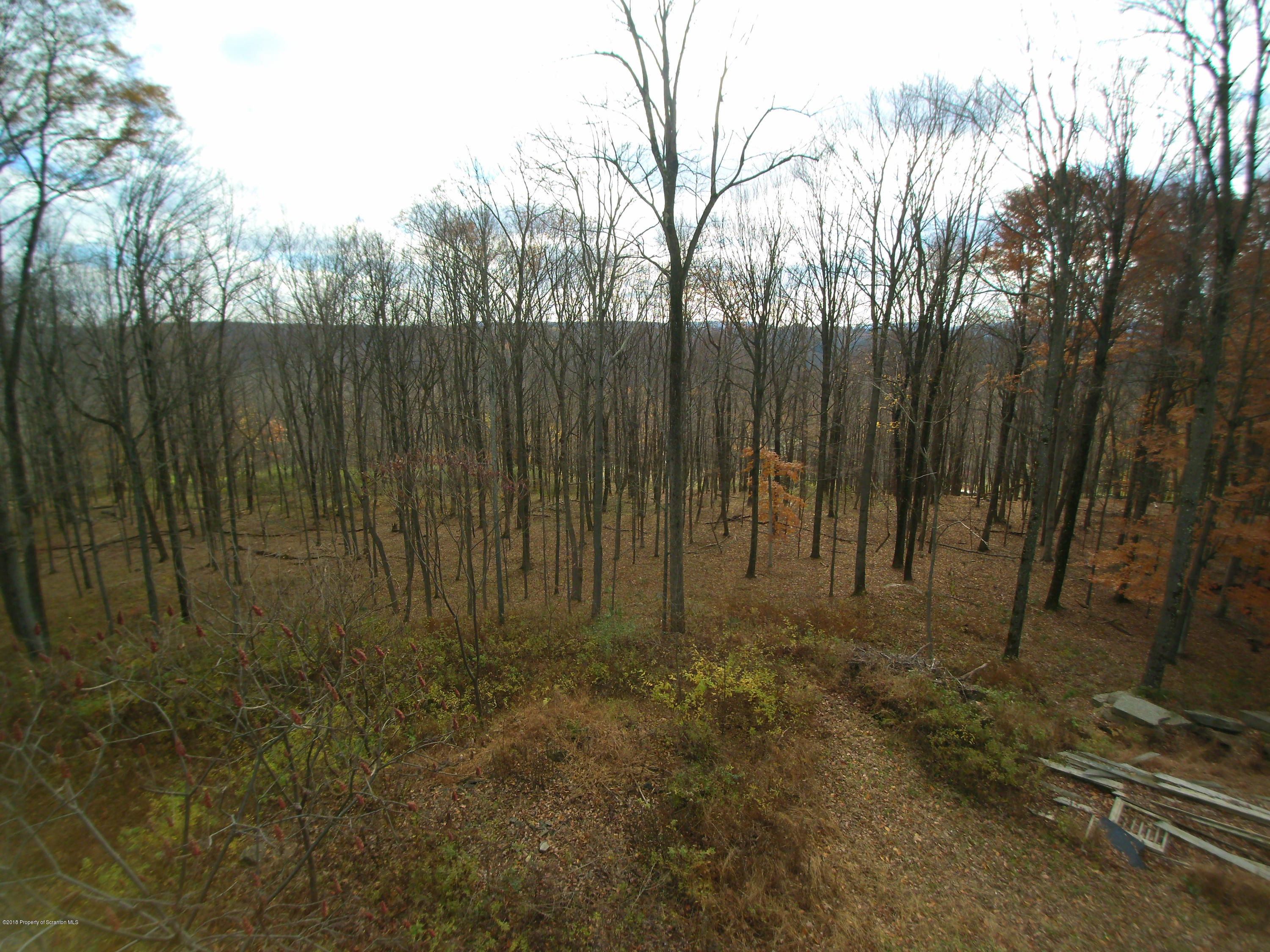 Linair Farms Road Dalton, PA 18414 - Photo 28 of 34 a view of backyard with green space