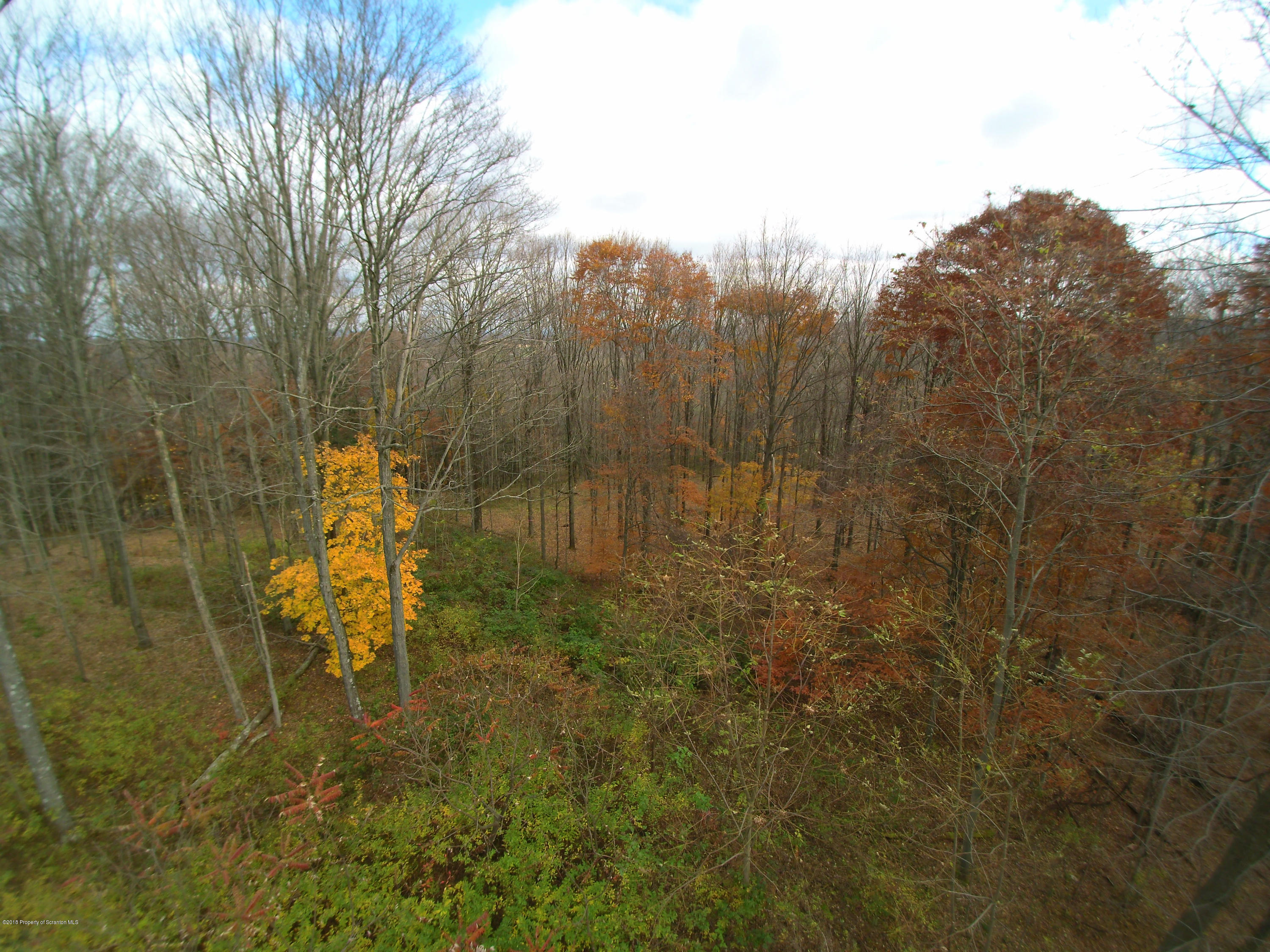 Linair Farms Road Dalton, PA 18414 - Photo 29 of 34 a view of yard with large trees