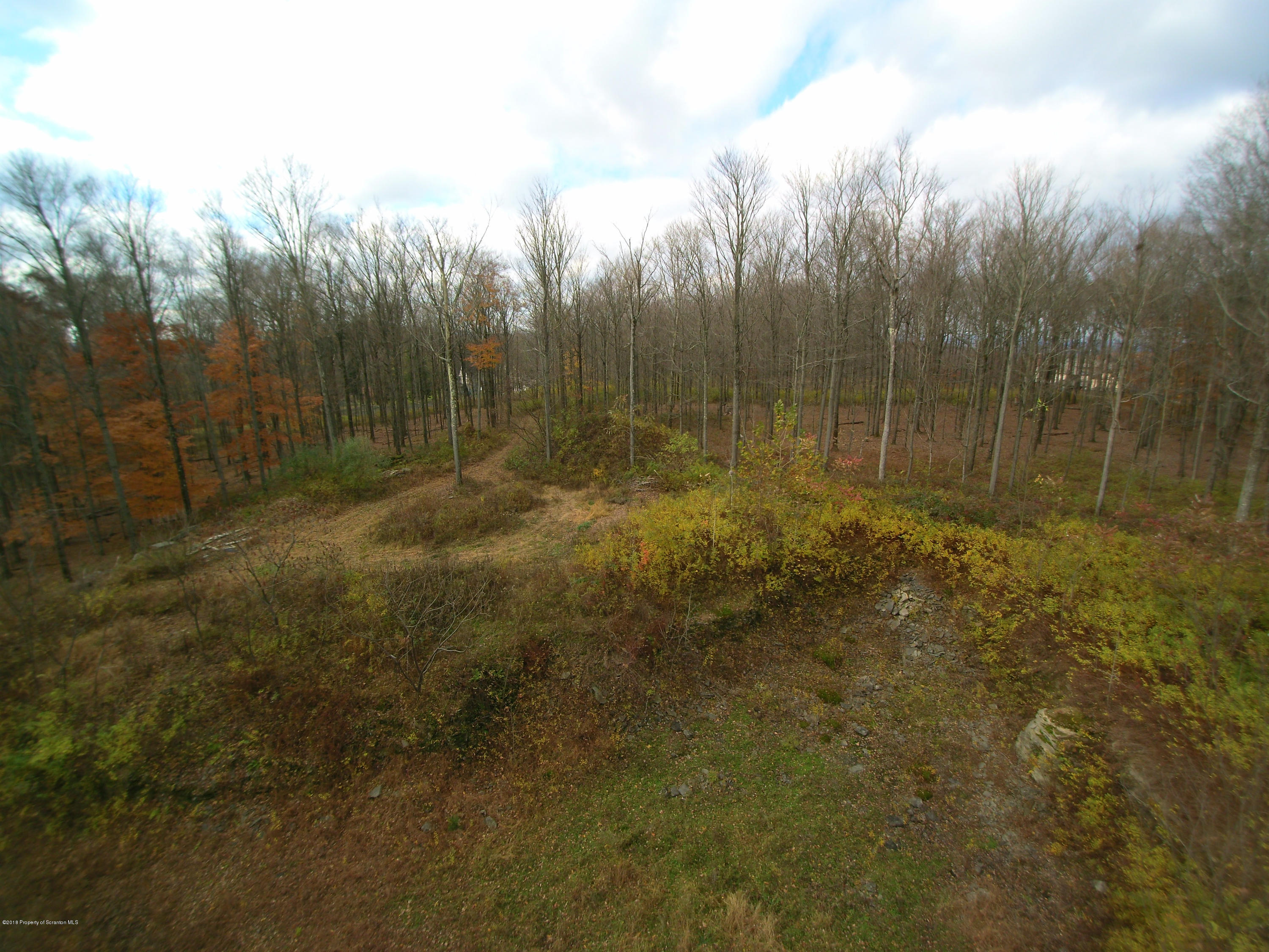 Linair Farms Road Dalton, PA 18414 - Photo 30 of 34 a view of a forest with trees in the background