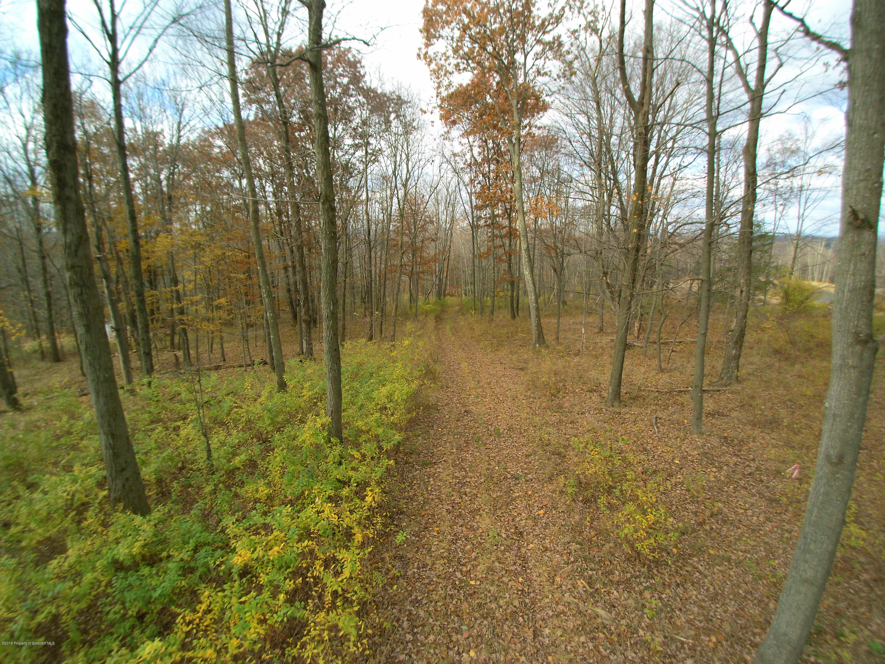 Linair Farms Road Dalton, PA 18414 - Photo 31 of 34 a view of a yard with trees