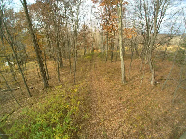 a view of outdoor space with trees