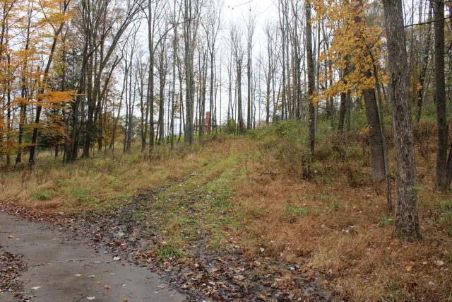 $403,000 | Linair Farms Road, Dalton, PA 18414