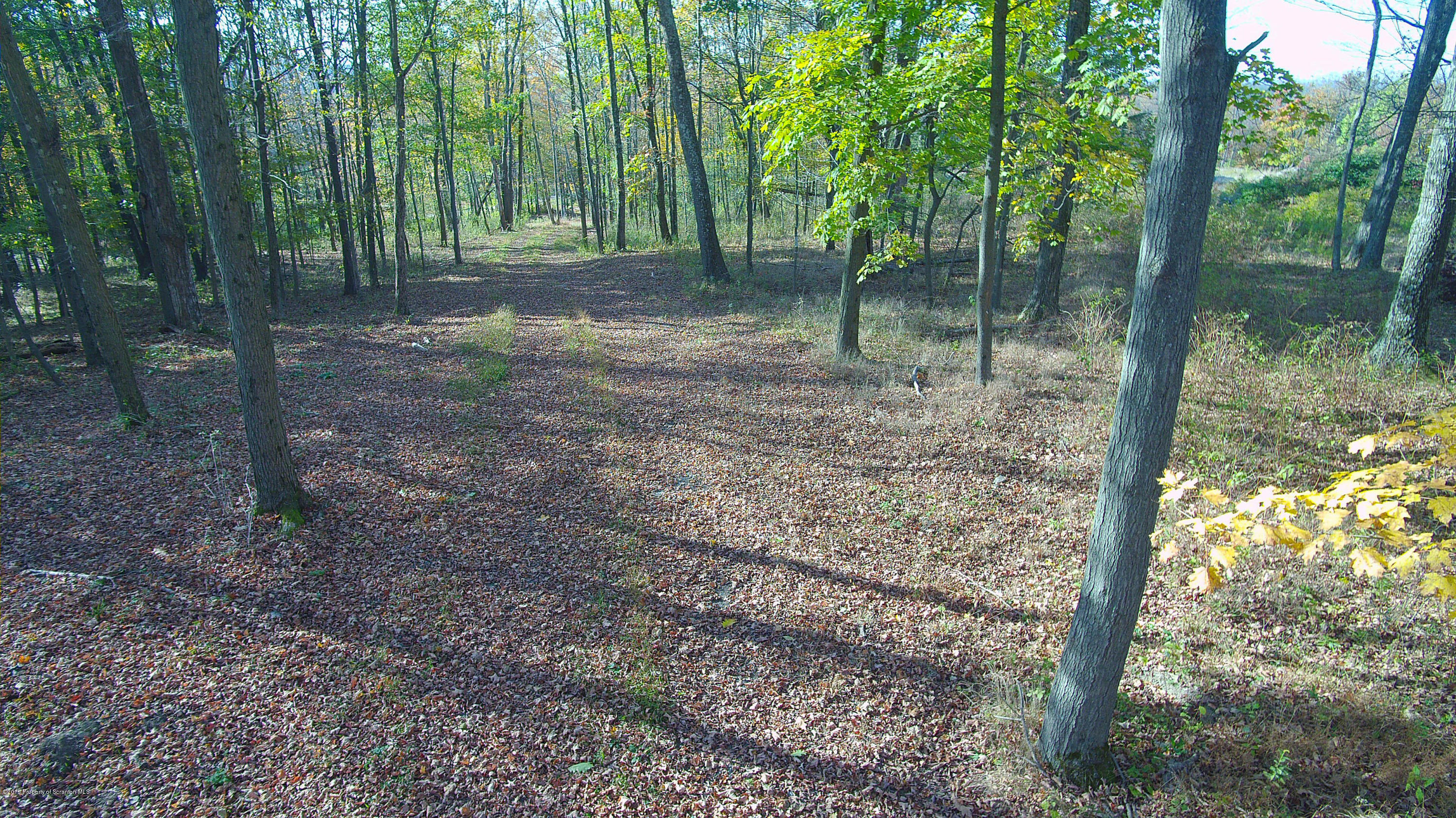 Linair Farms Road Dalton, PA 18414 - Photo 5 of 34 a backyard of a house with lots of green space
