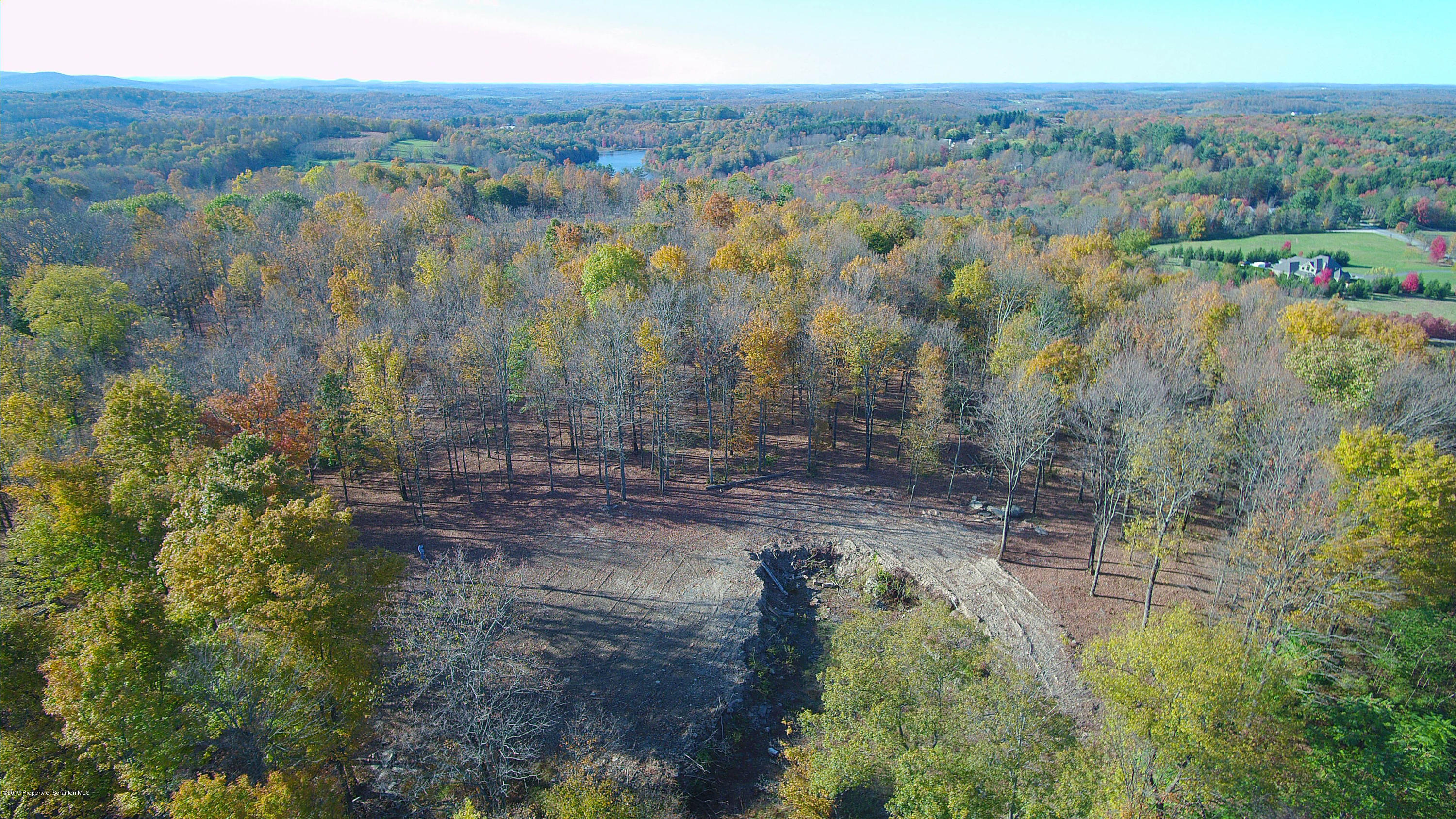 Linair Farms Road Dalton, PA 18414 - Photo 8 of 34 a view of a yard with trees