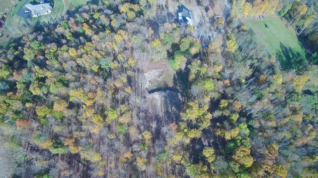 a backyard of a house with lots of plants and trees