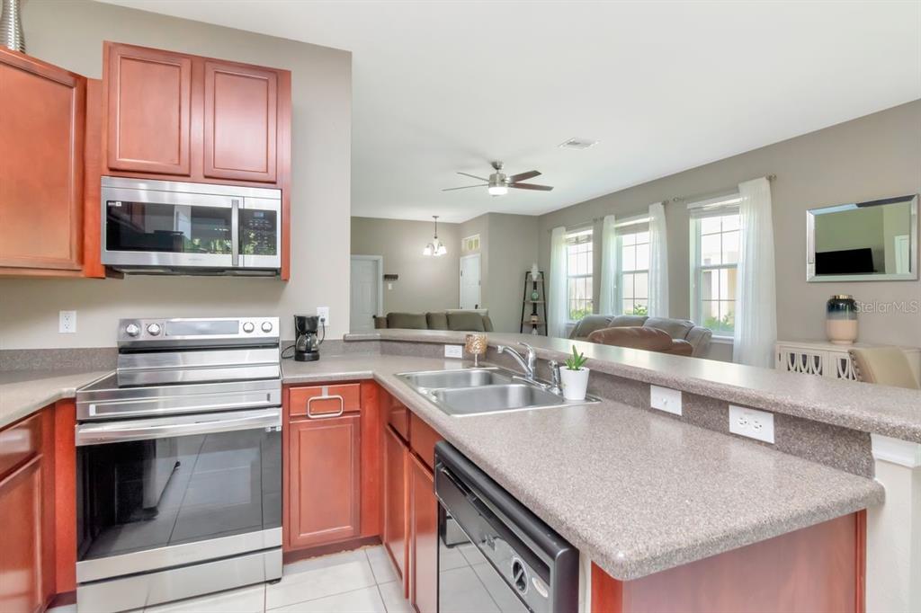 8880 Moonlit Meadows Loop Riverview, FL 33578 - Photo 19 of 43 a kitchen with granite countertop a sink and cabinets