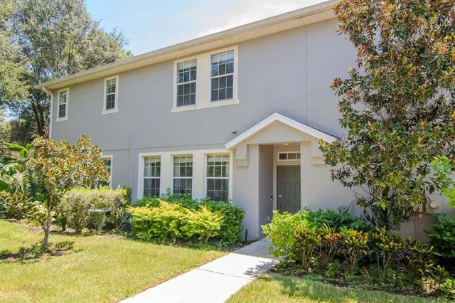 a view of a lush green forest