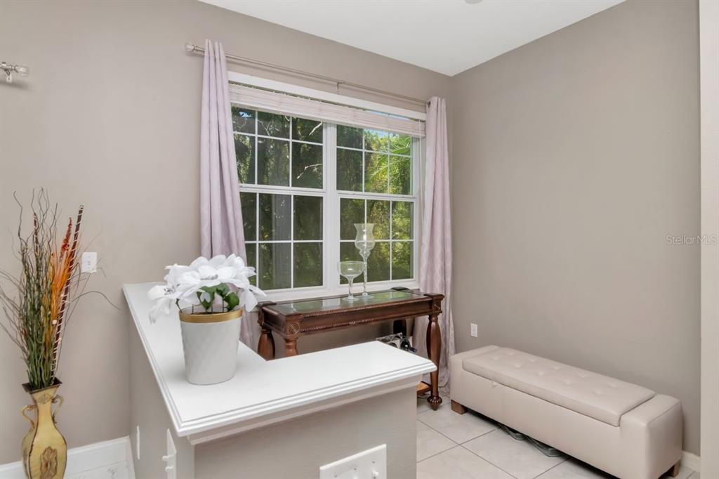 8880 Moonlit Meadows Loop Riverview, FL 33578 - Photo 4 of 43