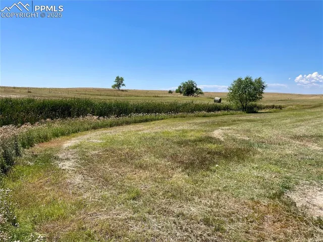 a view of an ocean and beach