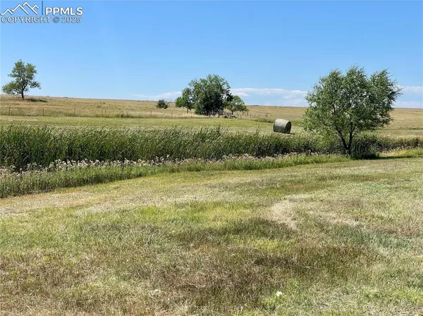 a view of a field with an ocean