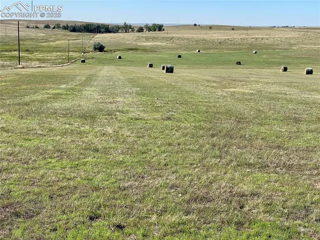 a view of a large green field with lots of plants in the background