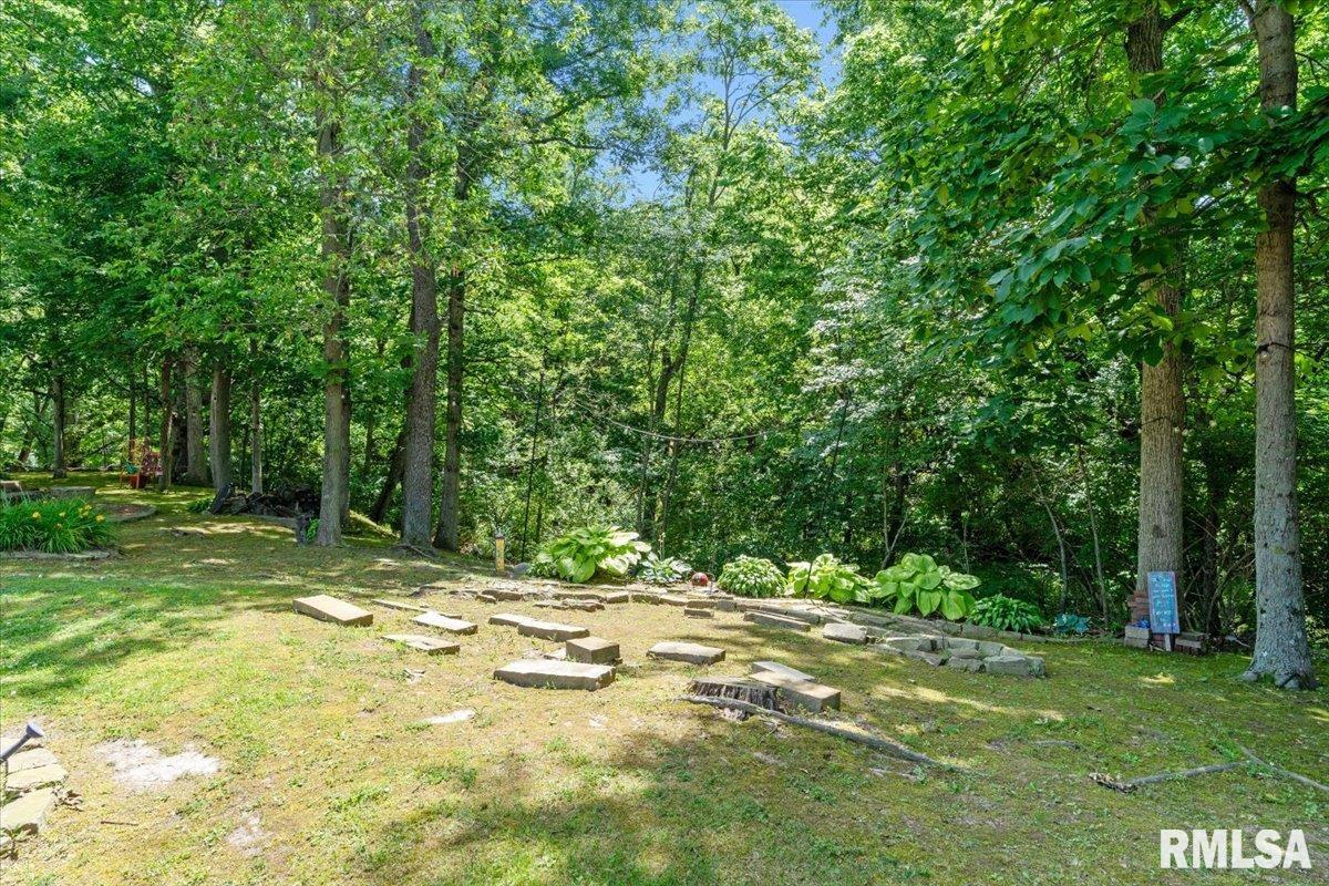 3880 Moose Cry Road Auburn, IL 62615 - Photo 61 of 74