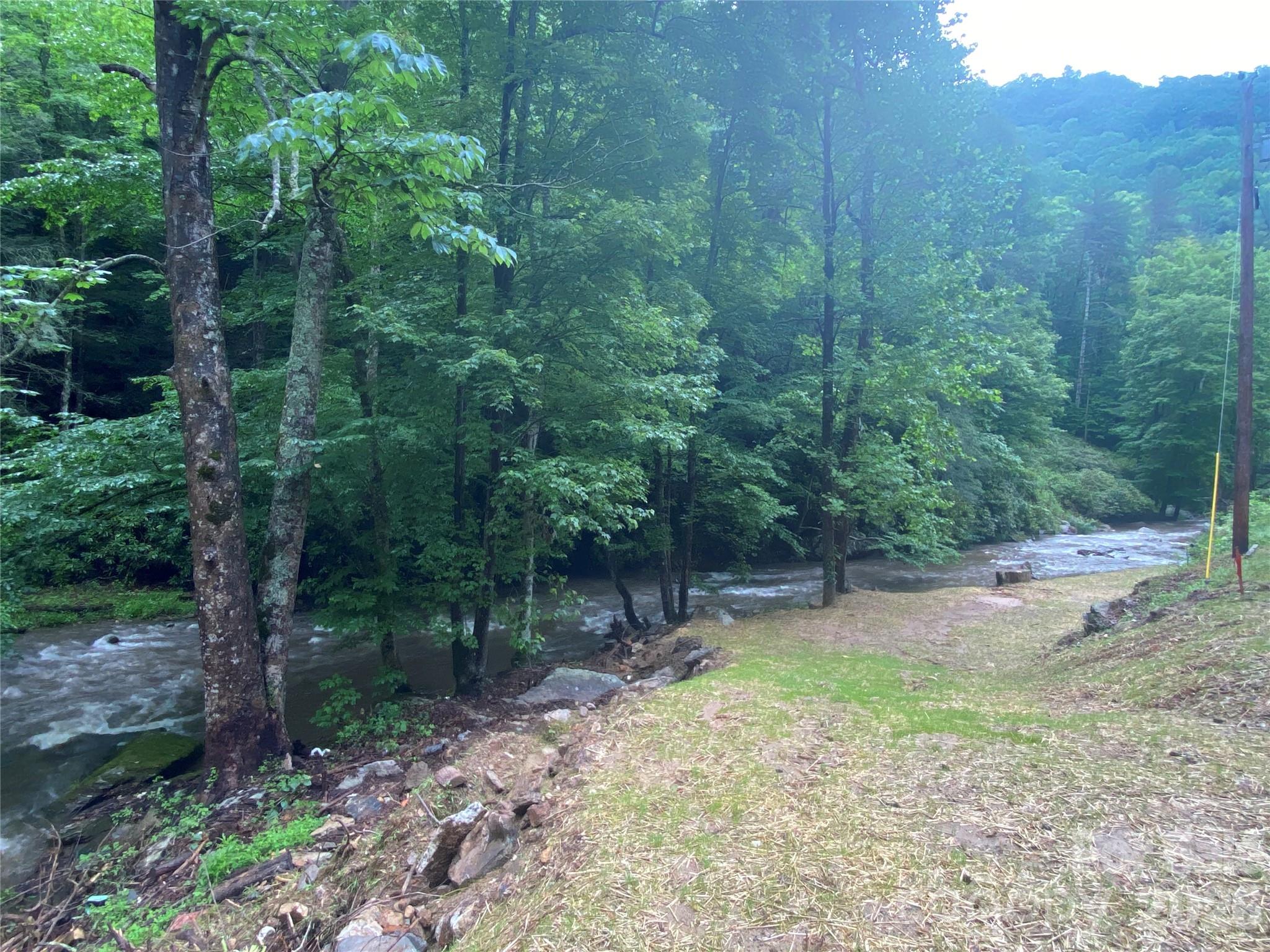 0 Big Laurel Road Marshall, NC 28753 - Photo 13 of 13 a view of a forest filled with trees