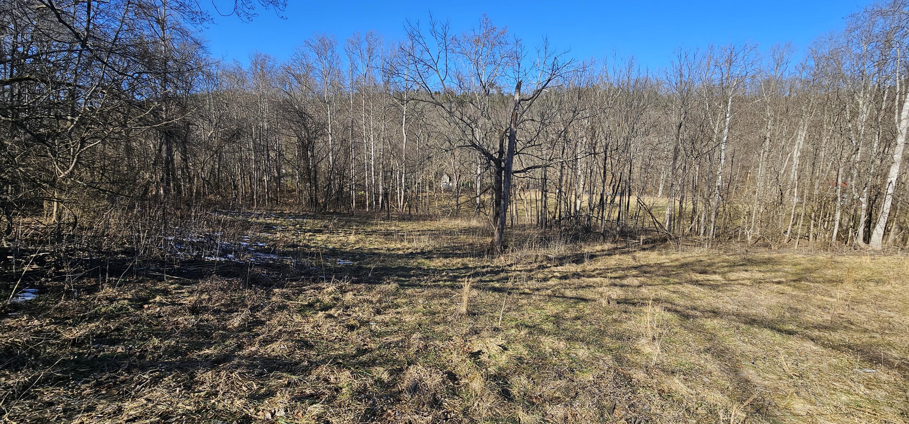 89 Gilberts Creek Road Salvisa, KY 40372 - Photo 5 of 7 1-16 89-5
