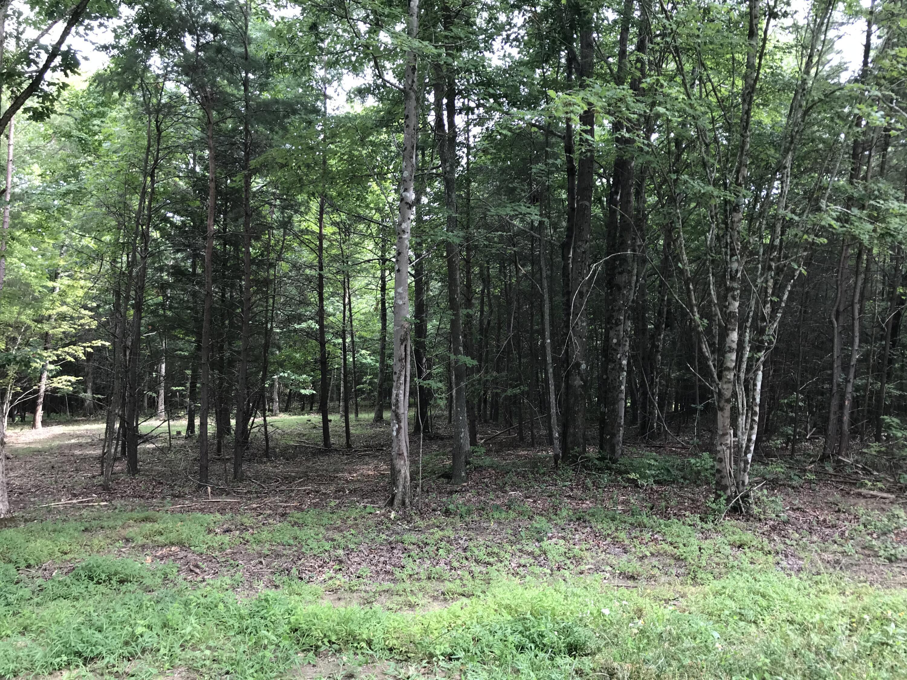 0 Quail Trail, Unit 38 Dunlap, TN 37327 - Photo 26 of 36 IMG_8520