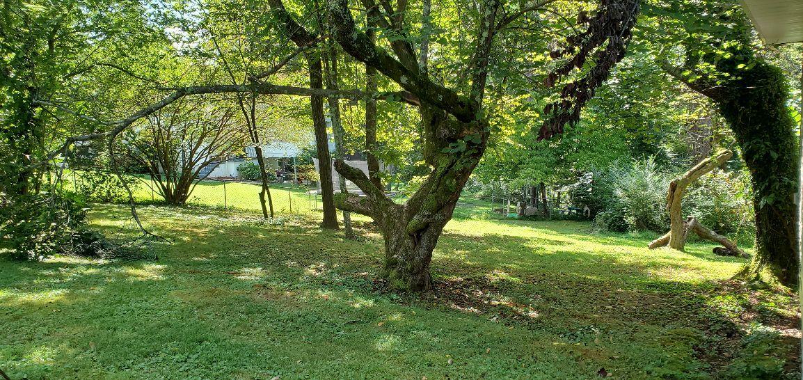 669 West Outer Drive Oak Ridge, TN 37830 - Photo 9 of 11 Fenced yard