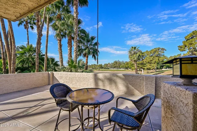 a view of a park with large trees