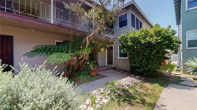 a plant is in front of a house