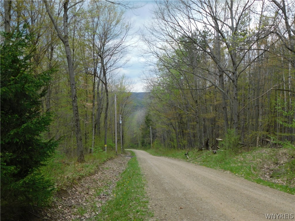 9705 White Meeting House Road Cuba, NY 14727 - Photo 3 of 25