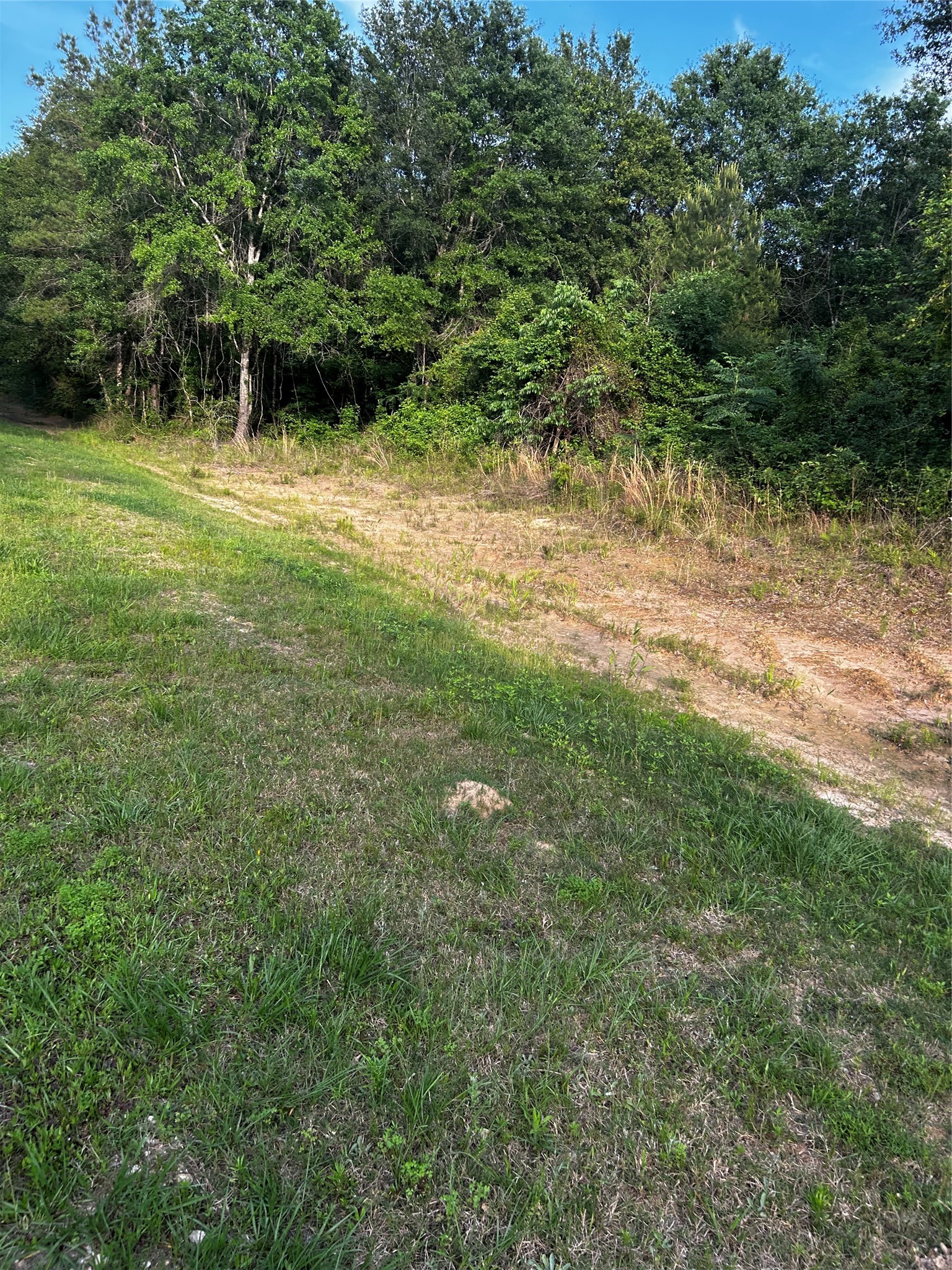 0 County Line Road Shepherd, TX 77371 - Photo 22 of 50