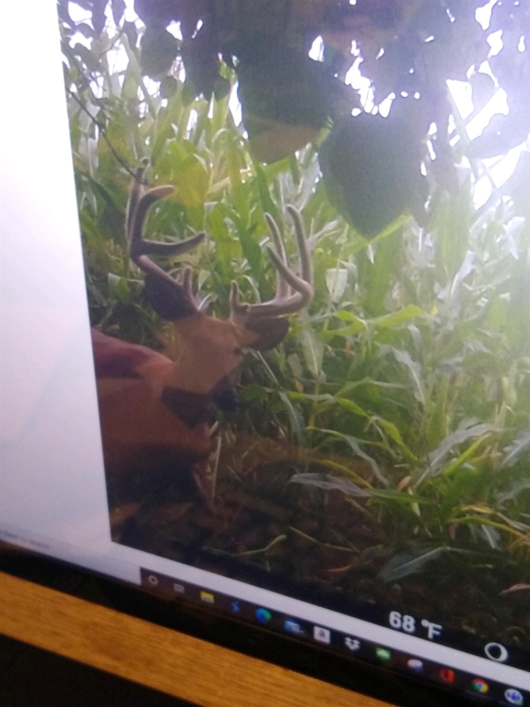 4432 Highway 2 Oregon, IL 61061 - Photo 41 of 49