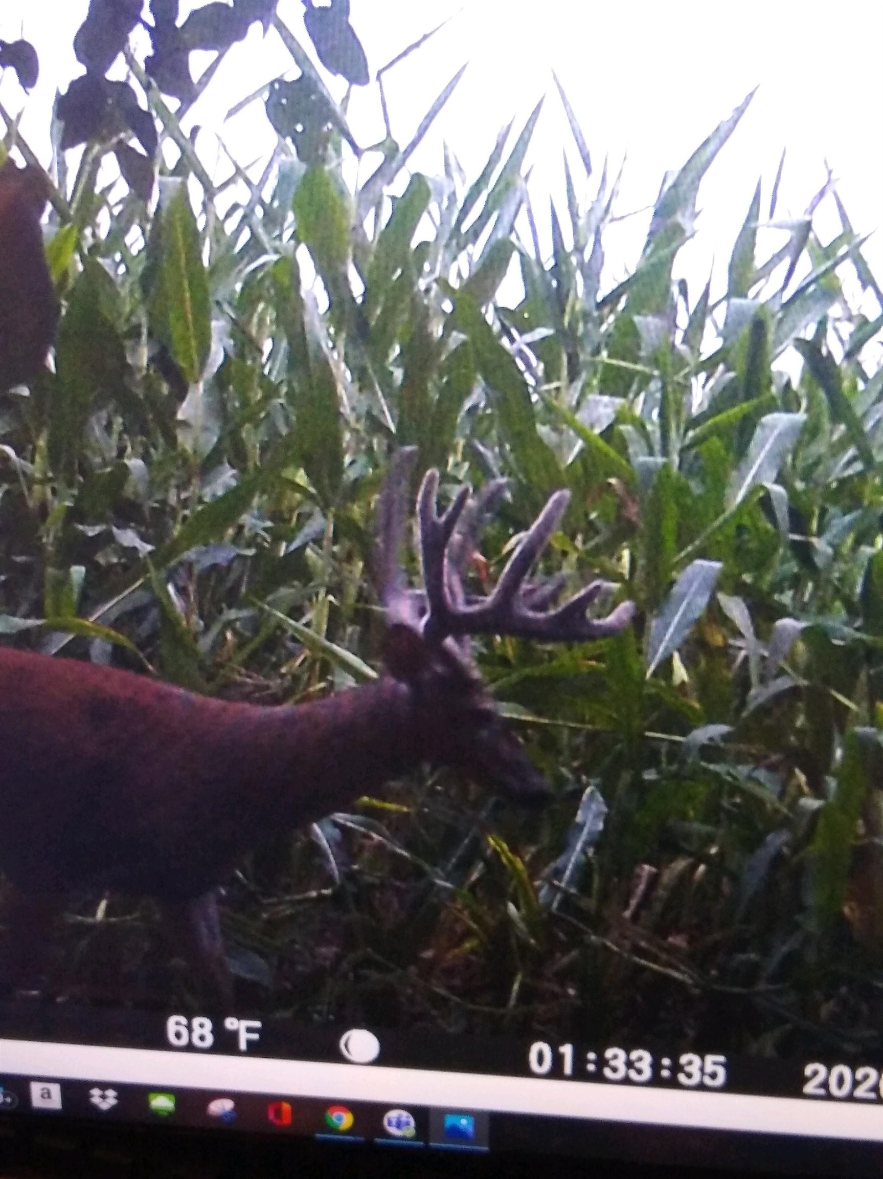 4432 Highway 2 Oregon, IL 61061 - Photo 42 of 49 a view of building