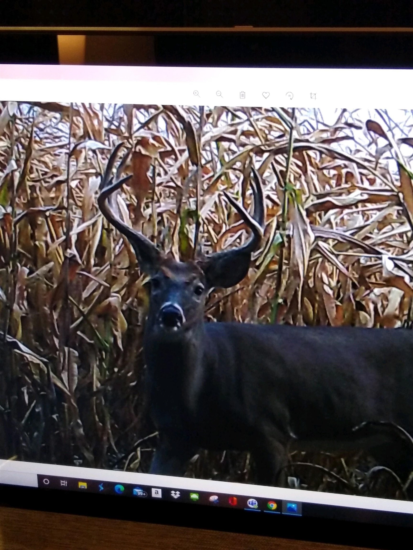 4432 Highway 2 Oregon, IL 61061 - Photo 43 of 49 a black and white photo of a garden