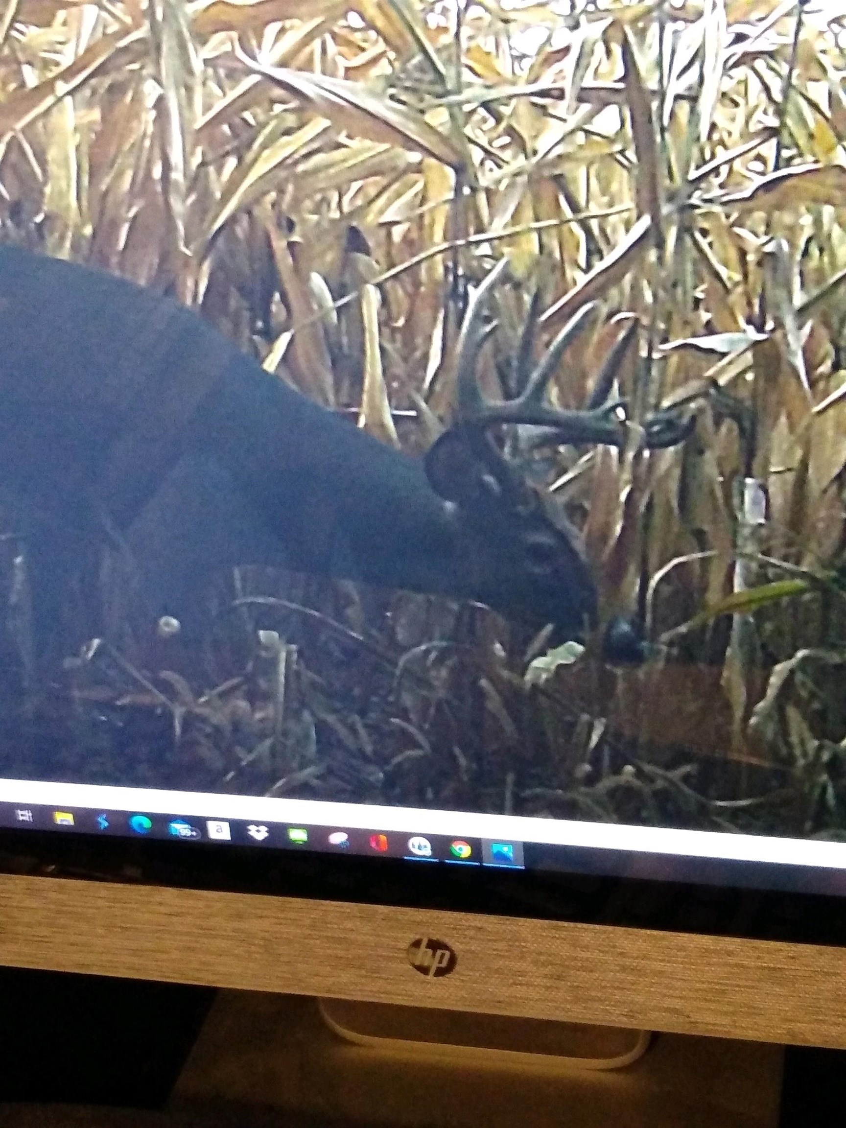 4432 Highway 2 Oregon, IL 61061 - Photo 44 of 49 a view of fountain