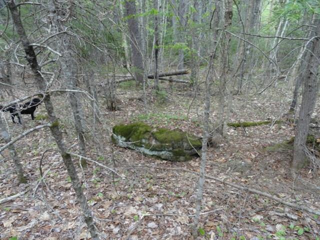 Map 7-lot Map 7-lot Pond Hill Rd Brooks Brooks, ME 04921 - Photo 8 of 15 Pond Hill 9