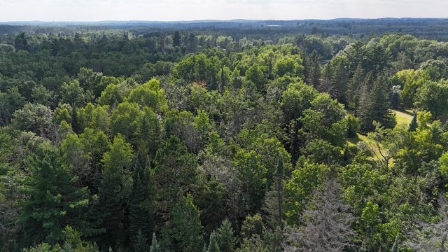 0 North Airport Road Hayward, WI 54843 - Photo 4 of 22