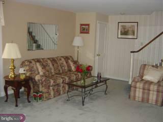 265 School Lane Springfield, PA 19064 - Photo 3 of 6 Gallery Image 3