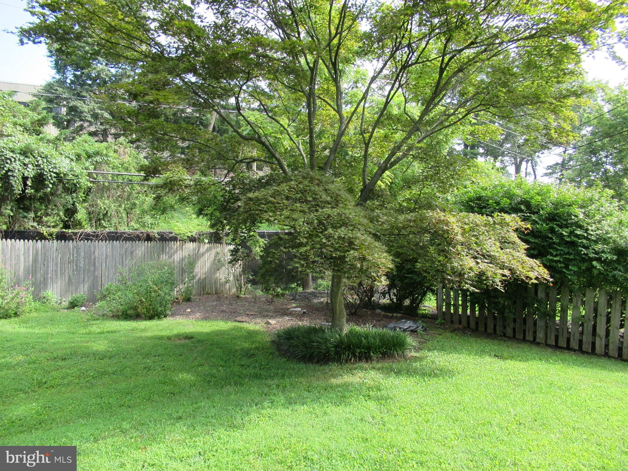 577 Brook Road Baltimore, MD 21286 - Photo 27 of 30 Back yard