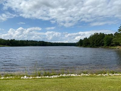 168 Wexford Mill Road Wagener, SC 29164 - Photo 11 of 12 Gallery Image 11