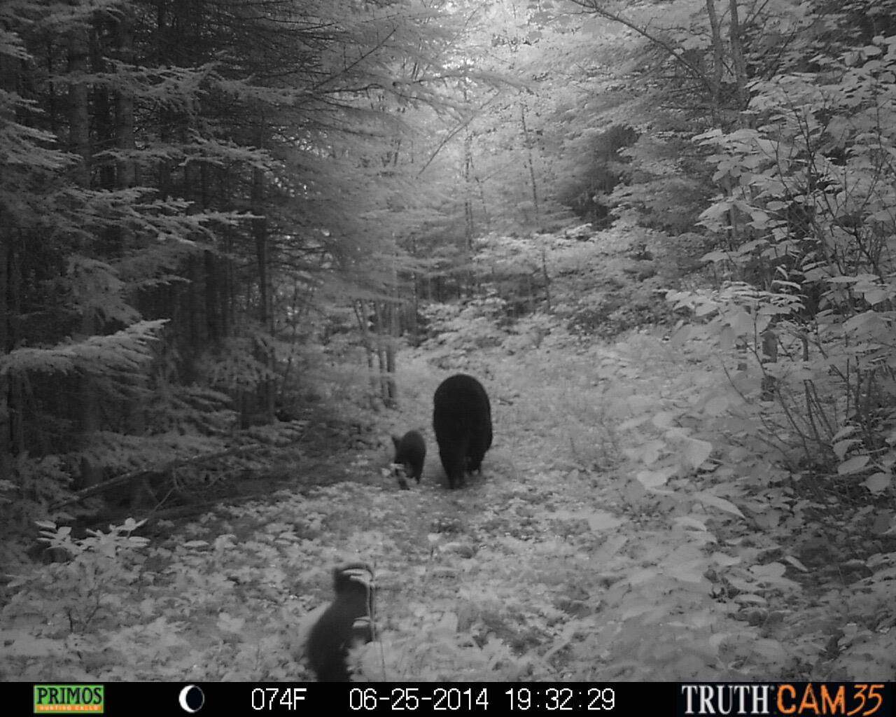 Lot #3 Pleine Road St. Agatha, ME 04772 - Photo 32 of 32