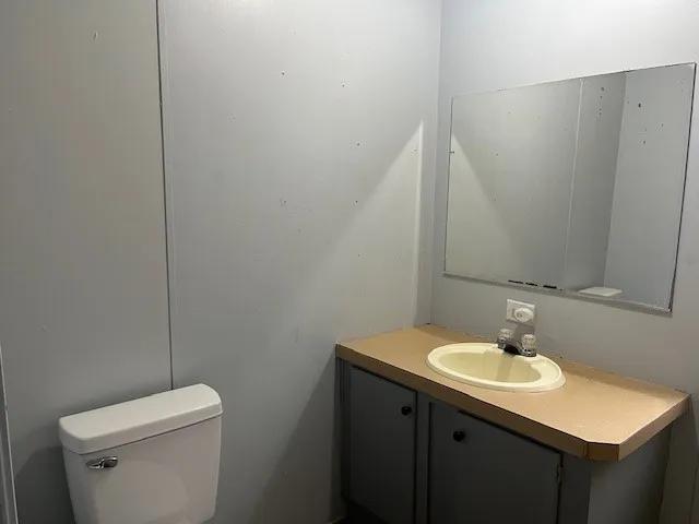 a bathroom with a sink toilet and vanity
