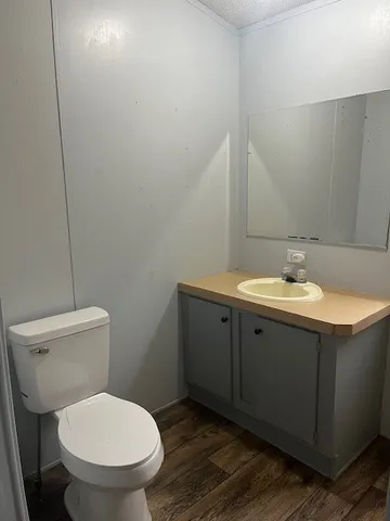 a bathroom with a toilet sink and mirror